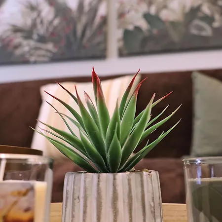 公寓 Lovely Next To Bus Terminus 圣保罗湾城