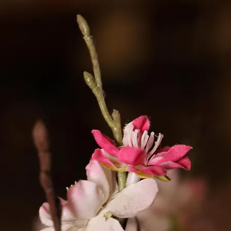 Lovely Next To Bus Terminus * 圣保罗湾城