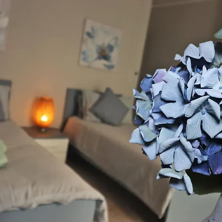 Lovely Next To Bus Terminus 圣保罗湾城