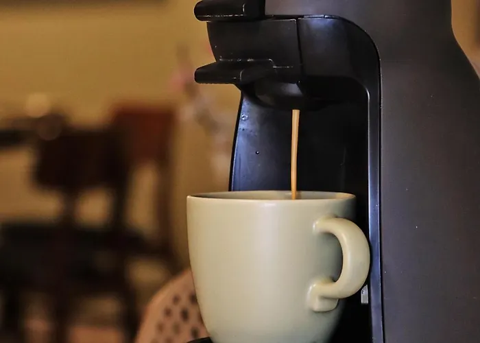 Lovely Next To Bus Terminus