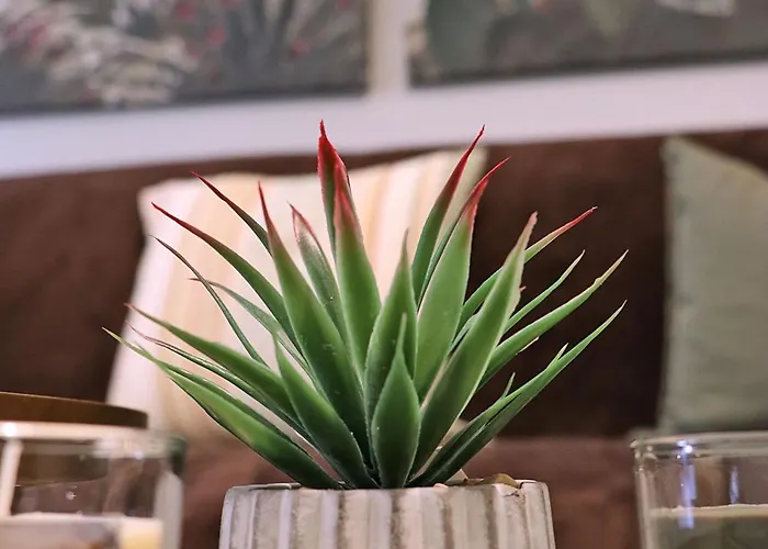 Апартаменты Lovely Next To Bus Terminus Сент-Полс-Бей