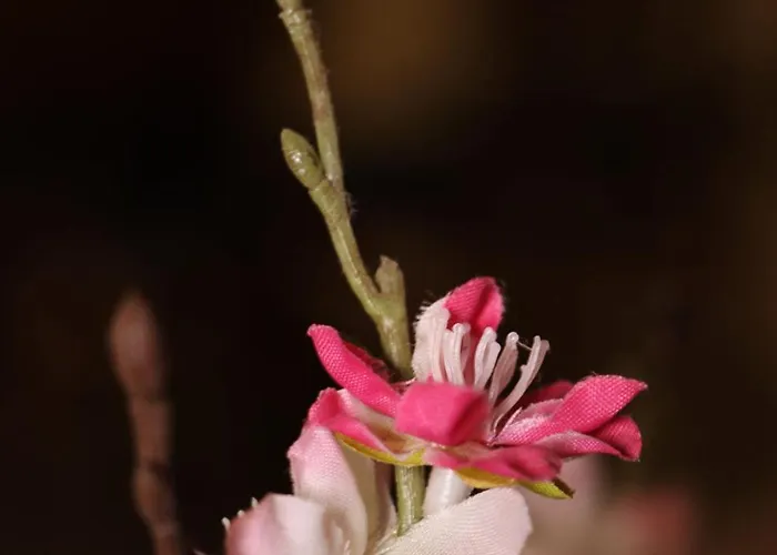 Lovely Next To Bus Terminus * Сент-Полс-Бей